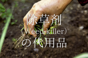 【除草剤の代用品 8選】身近なもので簡単に除草！塩水・熱湯などおすすめ除草方法を紹介