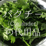 【コリアンダーの代用品 10選】パクチー・クミンは代わりになる?おすすめ代替品を紹介!