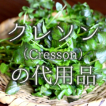 【小松菜の代用 7選】代わりになるのはコレ!!ほうれん草などおすすめ代替品を紹介